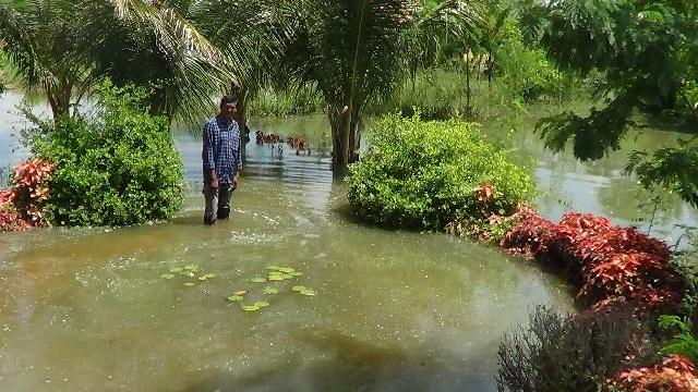 Flood1.jpg - 185.75 kB